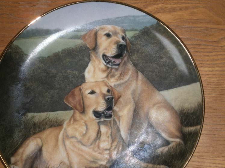 коллекционная настенная тарелка собаки