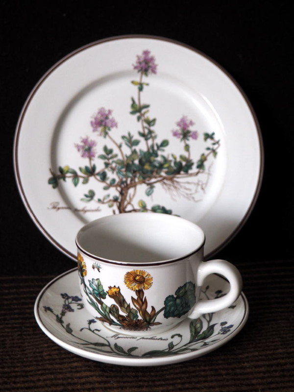 чашка тройка Botanica Villeroy & Boch